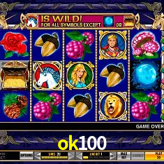 ok100 Rio de Janeiro - Professional Dealers